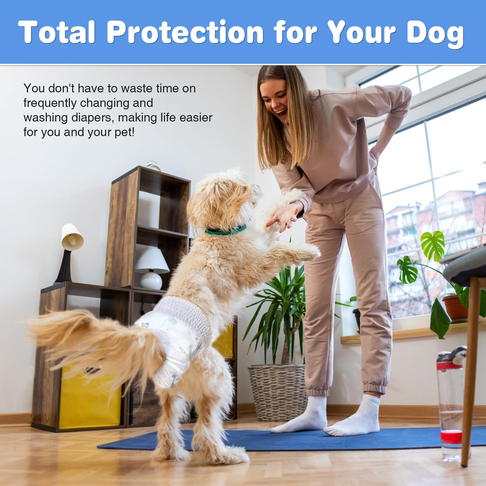 Ambreview dog diapers worn by a dog in heat demonstrates secure fit.