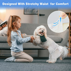 Ambreview dog diapers elastic waist closeup demonstrates flexible fit during movement.