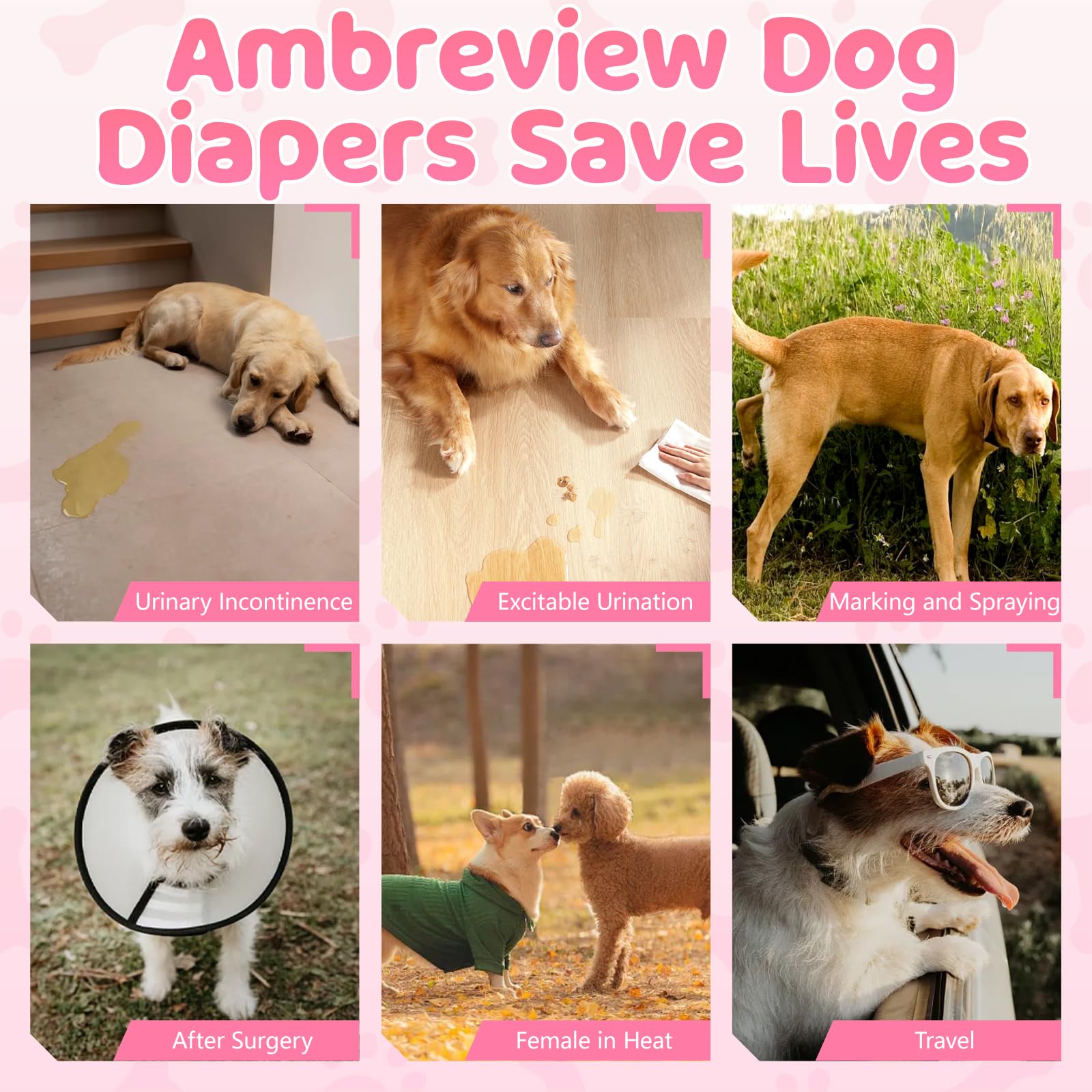 Ambreview Dog Diapers FSC-certified pulp supports sustainable disposal
