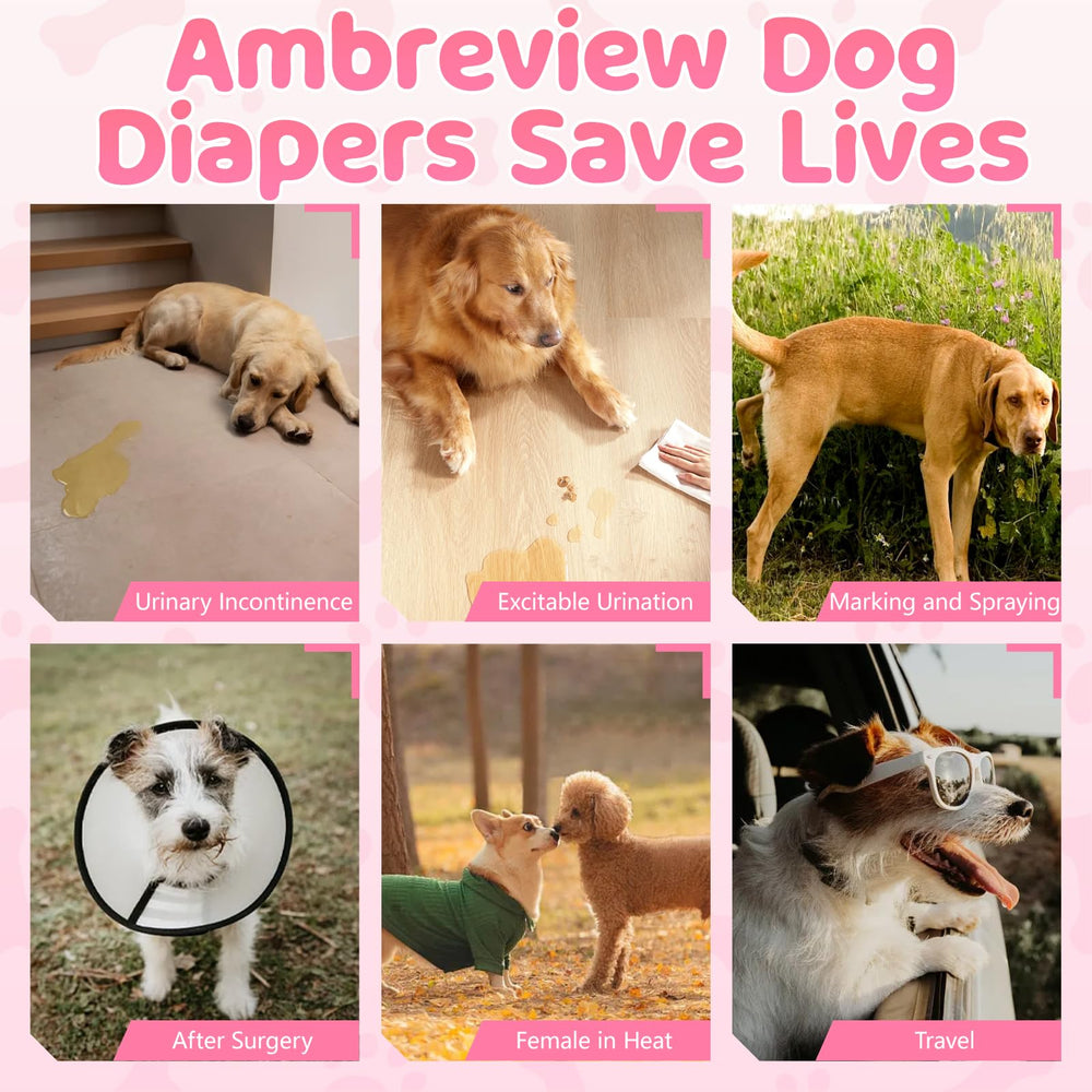Ambreview Dog Diapers FSC-certified pulp supports sustainable disposal