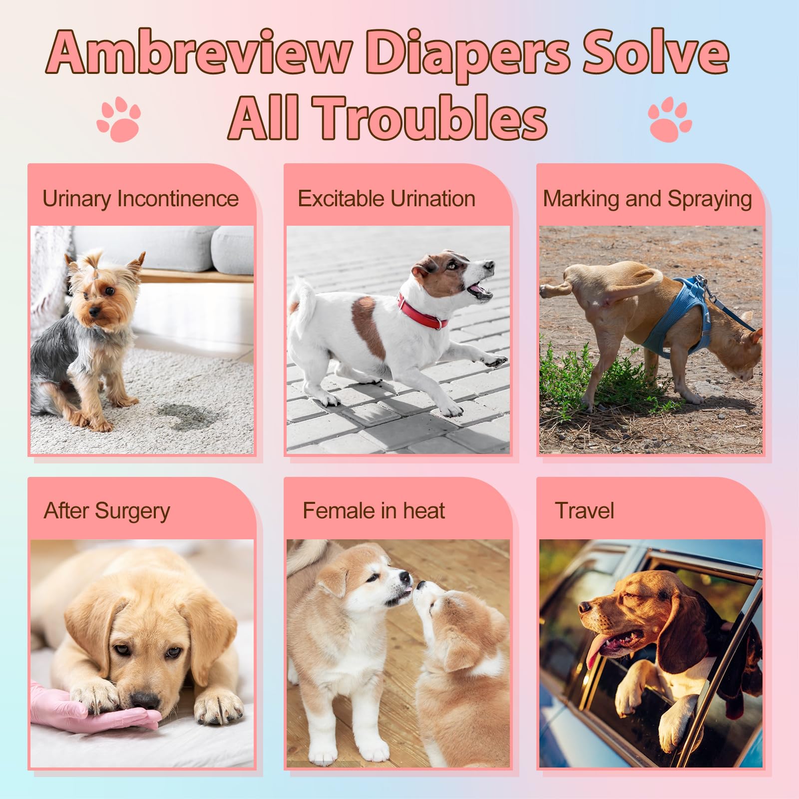 Ambreview pack of ten for convenient daily changes.