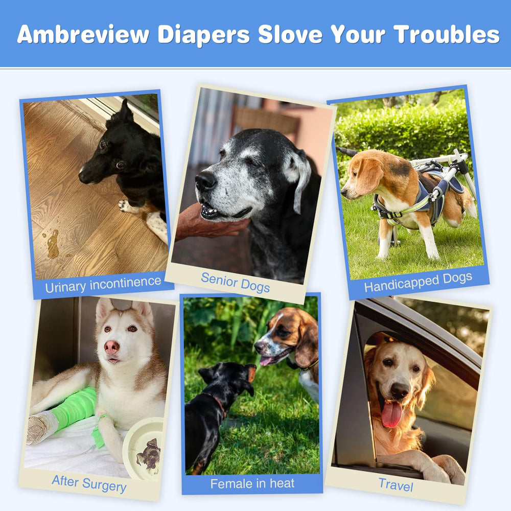 Ambreview dog diapers soft cotton material emphasizes breathable comfort.