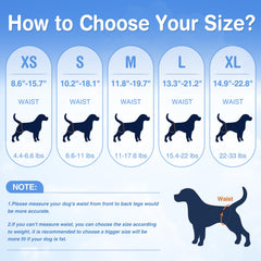 Ambreview sin Velcro, pañales para perro hembra con ajuste cómodo.