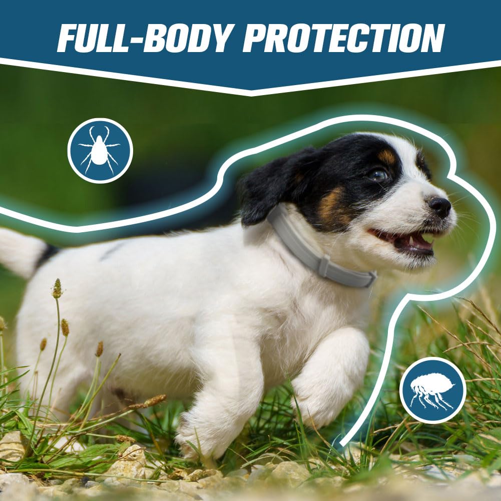 AMDEIUR collar graphic notes up to eight months of protection.