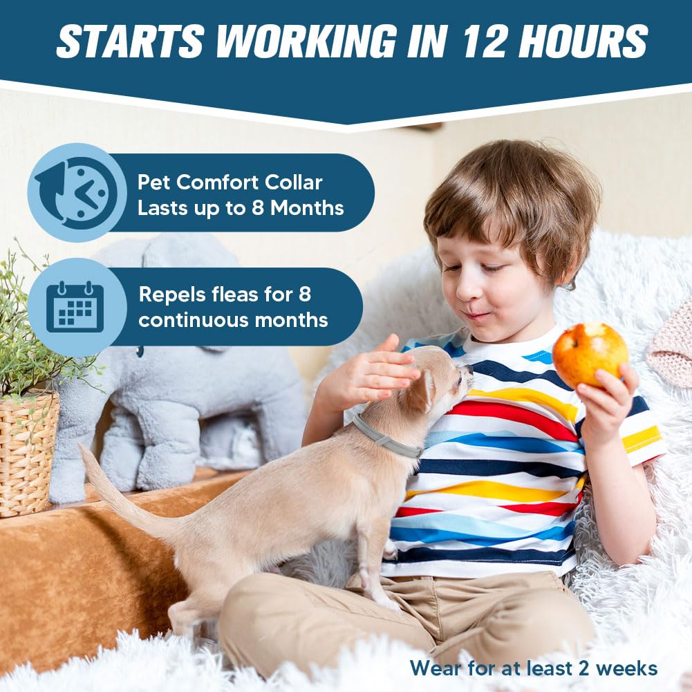 AMDEIUR collar buckle close-up emphasizes secure closure.