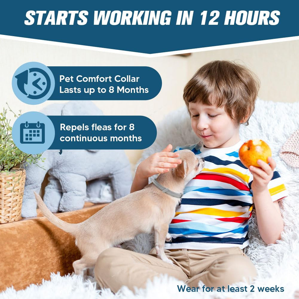 AMDEIUR collar buckle close-up emphasizes secure closure.