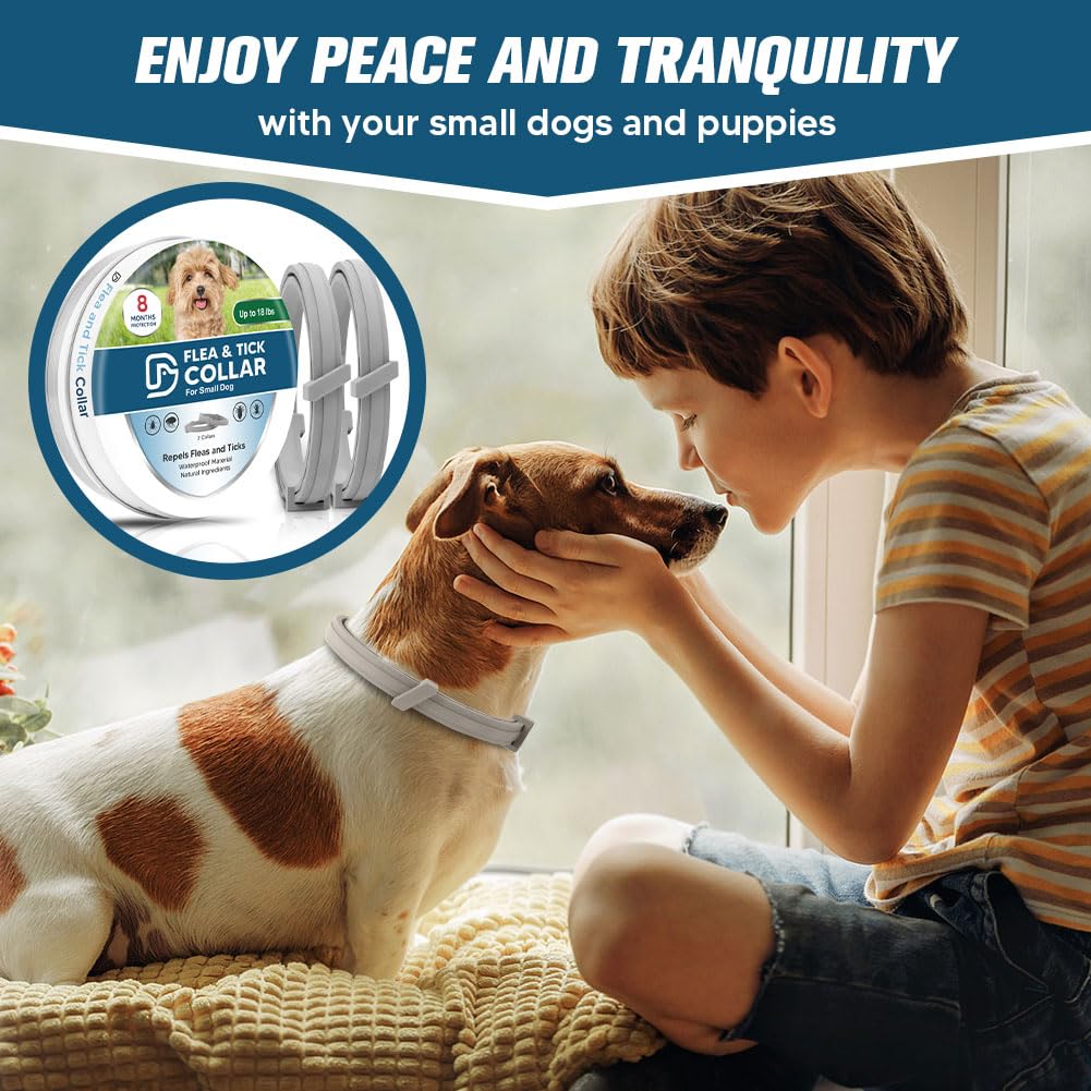 AMDEIUR waterproof collar on a dog during bath or rain.