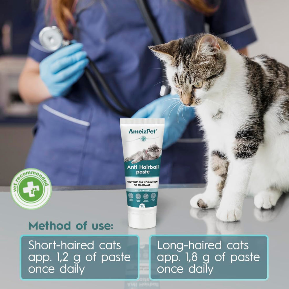 AmeizPet cat-owner dosing scene showing a stress-free routine at home.