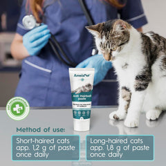 AmeizPet cat-owner dosing scene showing a stress-free routine at home.