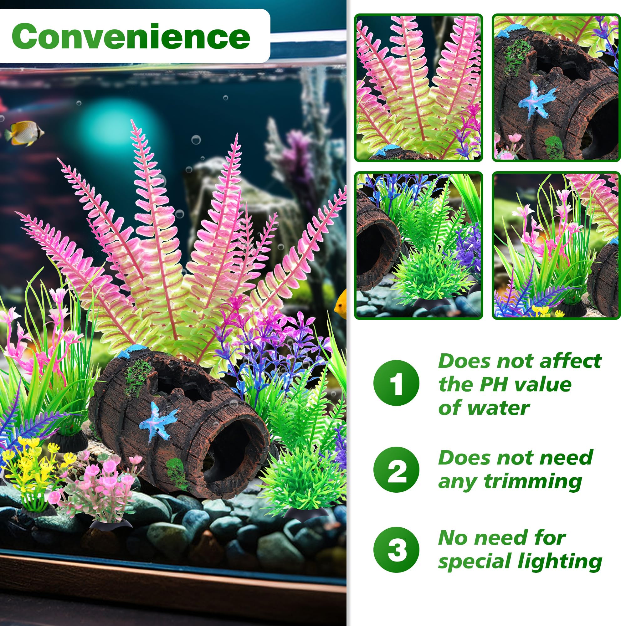 Ameliade aquarium plant round leaves offers compact camouflage for shy fish.