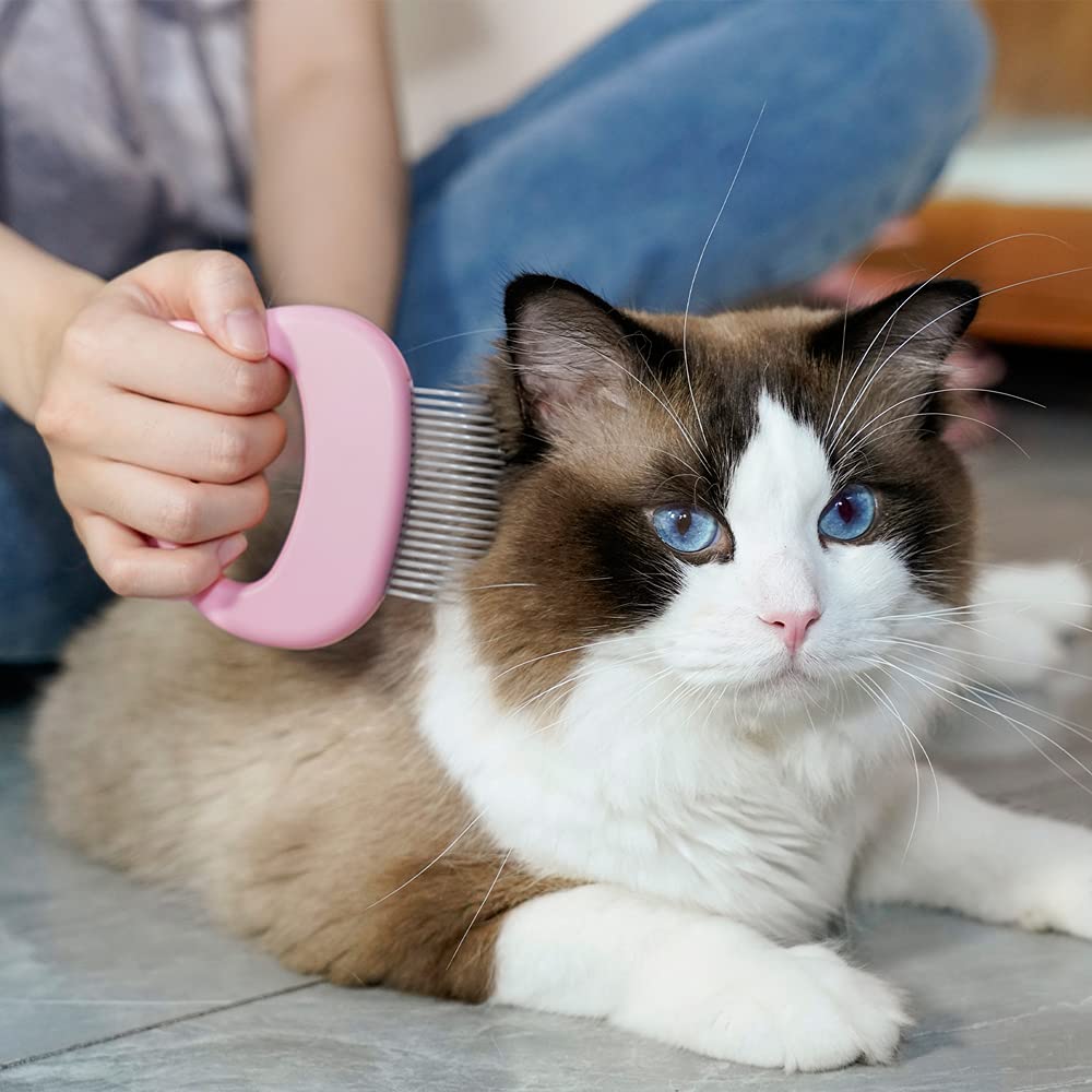 Ameliade Cat Comb blue shell product image with packaging