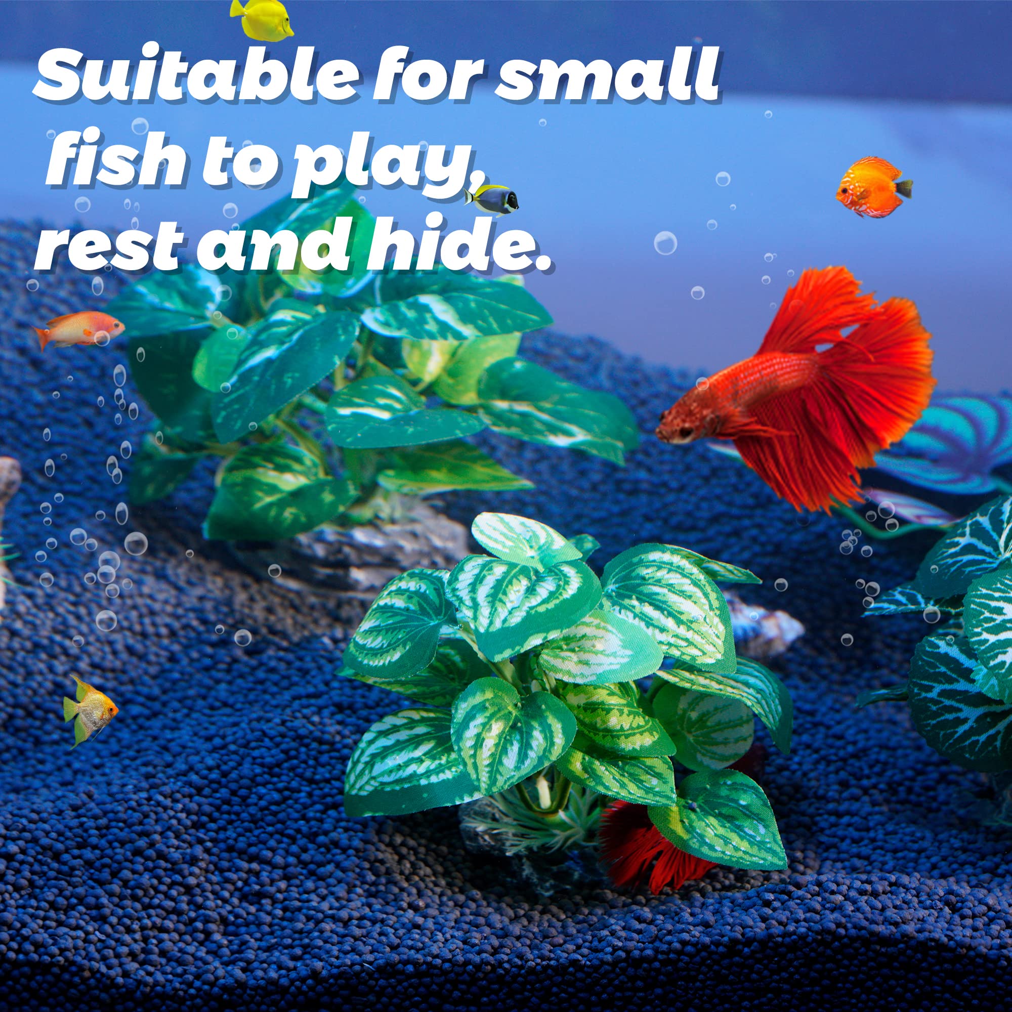 Ameliade cichlid hide ornament in tank delivering shelter and decor.