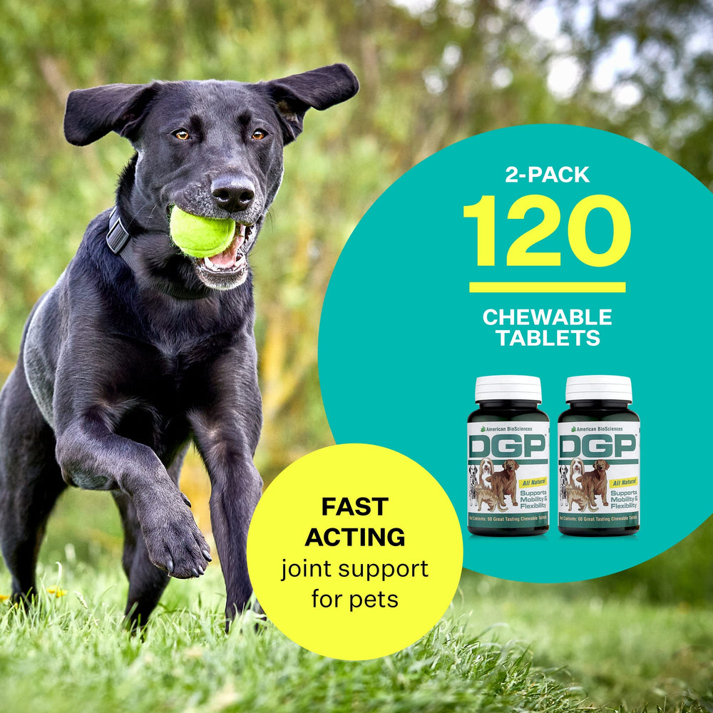 American BioSciences DGP dog-movement-action suggests improved mobility for daily activities.