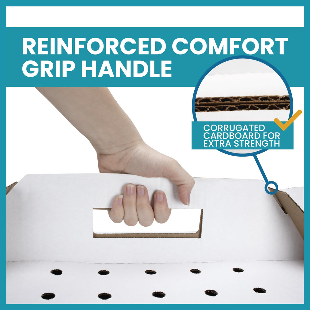 Eco friendly materials used in American Health Service carrier reinforce sustainability.