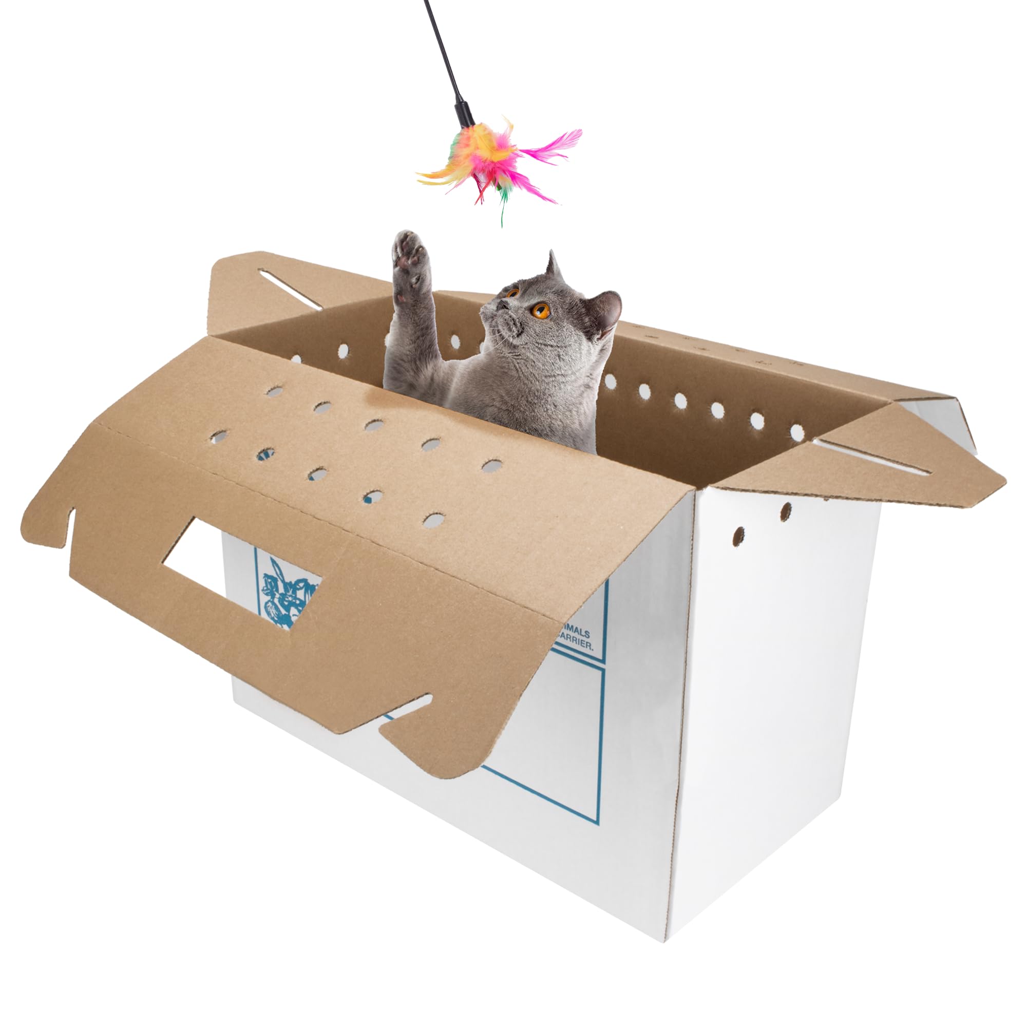 12 pack case of American Health Service disposable cardboard pet carriers for easy restock.