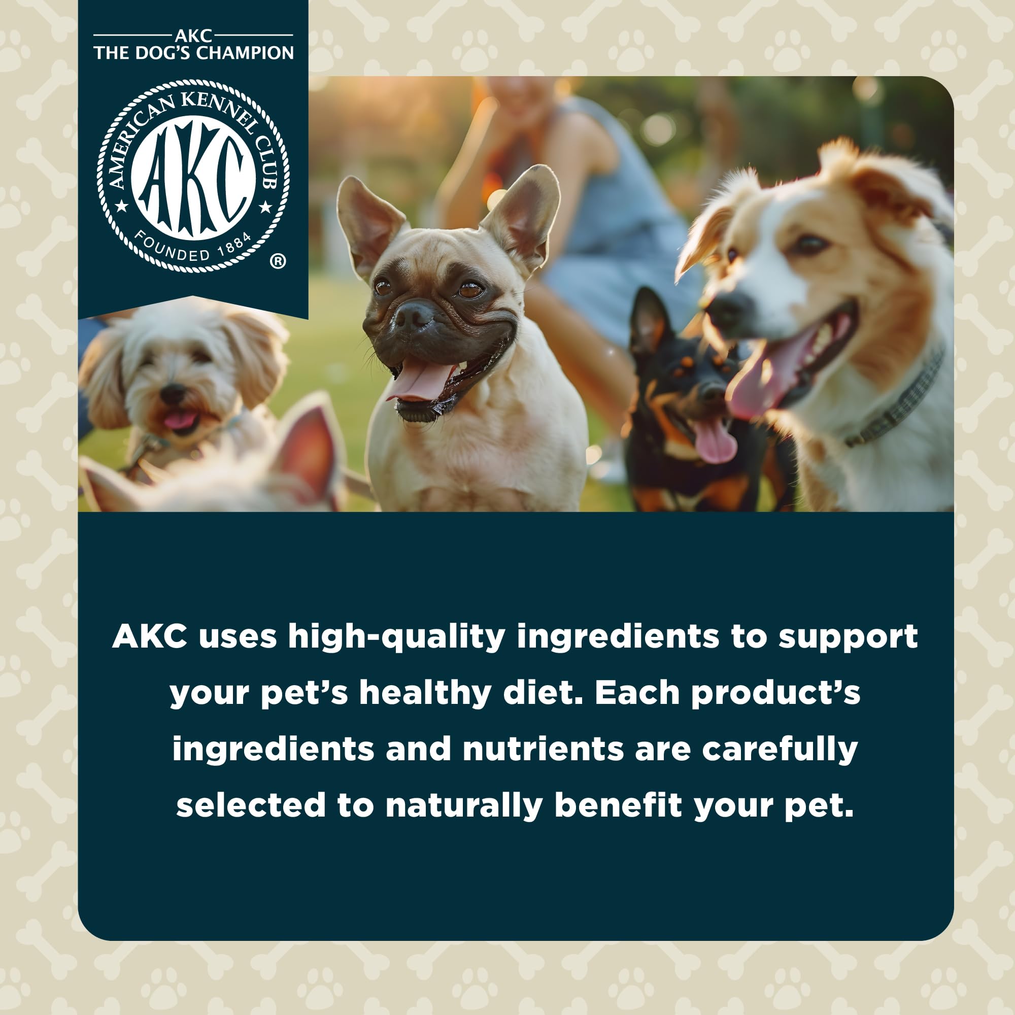American Kennel Club Lil Champs soft texture closeup highlighting chewy bite