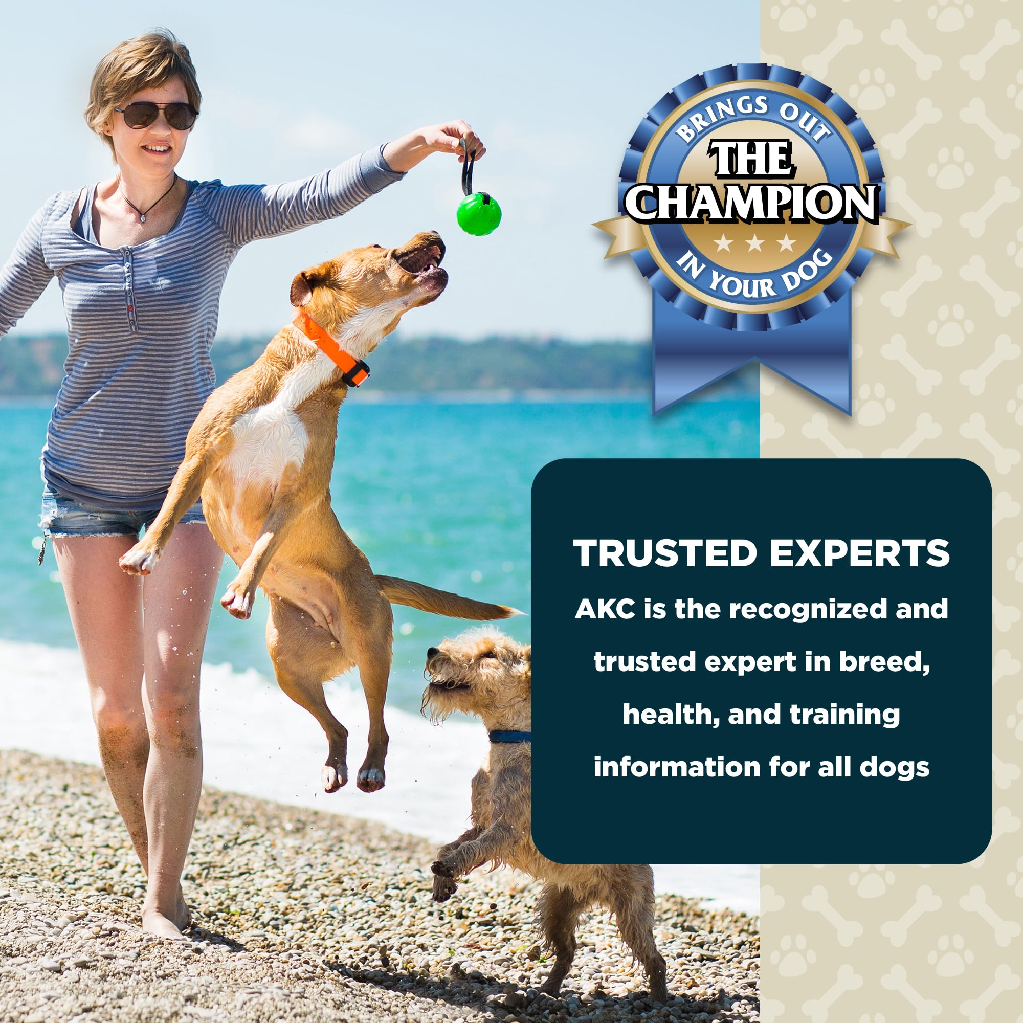 American Kennel Club Lil Champs gluten-free formulation for mindful snacking