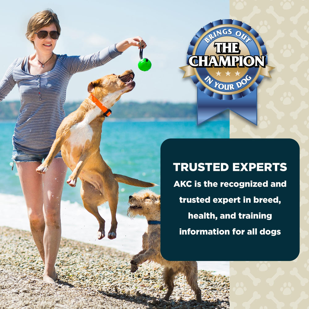 American Kennel Club Lil Champs gluten-free formulation for mindful snacking