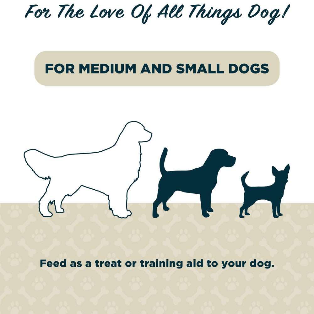 American Kennel Club Lil Champs dog enjoying treat during training