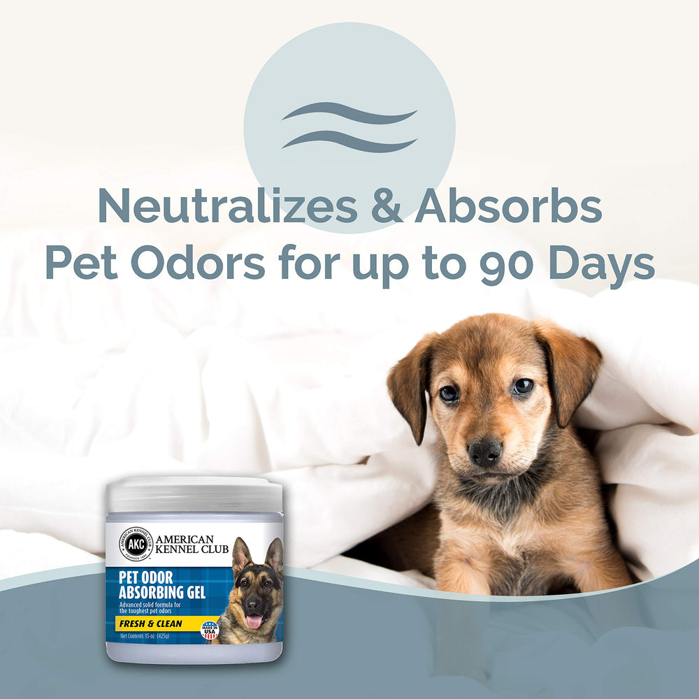 American Kennel Club Smells Begone gel absorbing odors in a living room.