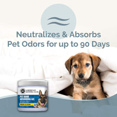 American Kennel Club Smells Begone gel absorbing odors in a living room.