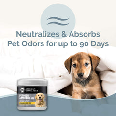 American Kennel Club Smells Begone gel packaging highlights fragrance-free formula for allergy-conscious homes.