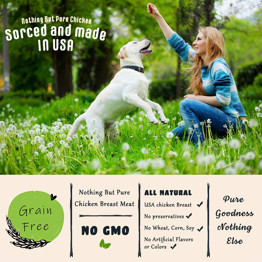 American Paws Jerky training reward in action with a responsive pup.