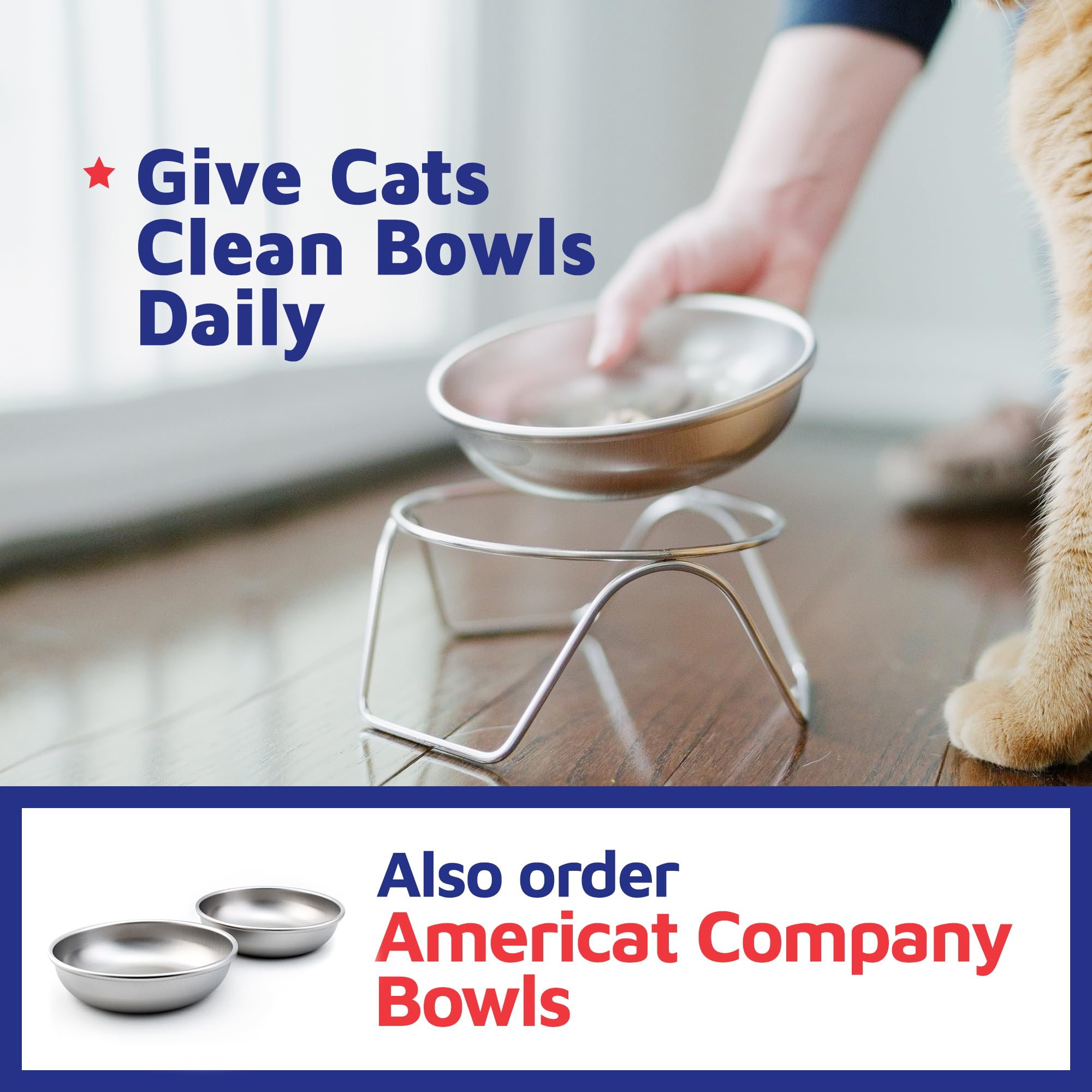Americat bowl stand elevates meals by 3 inches for comfort.