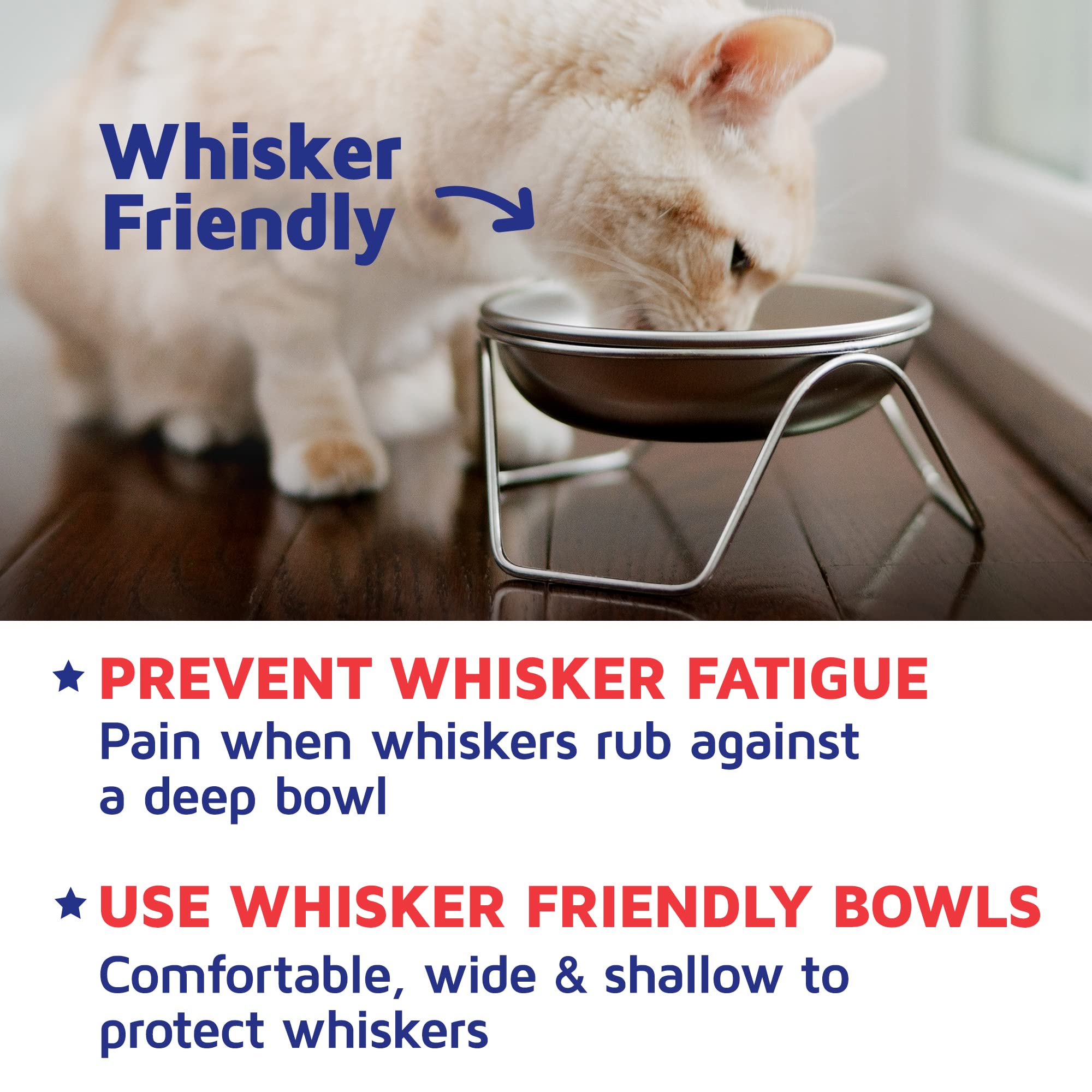 Americat dishwasher-safe bowls simplify post-meal cleaning.