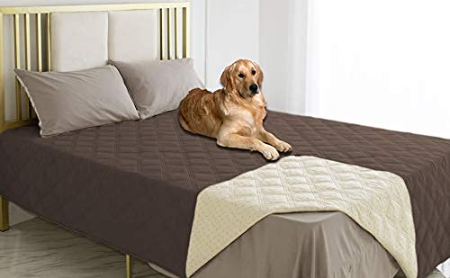 Ameritex dog bed cover machine washable for quick cleanup after adventures.