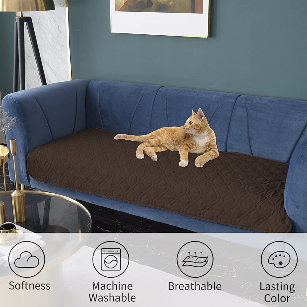 Ameritex easy-clean dog blanket demonstrated for quick mess cleanup.