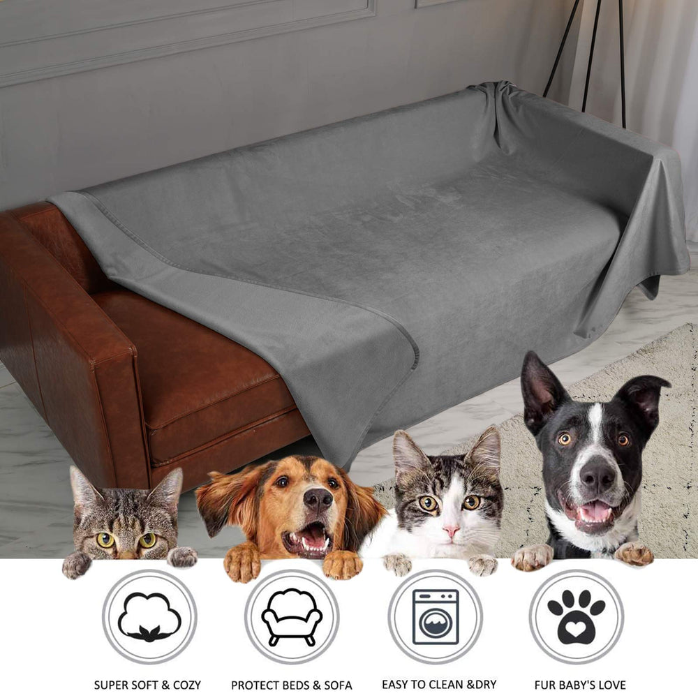 Ameritex pet bed blanket on sofa demonstrates durable protection during playtime