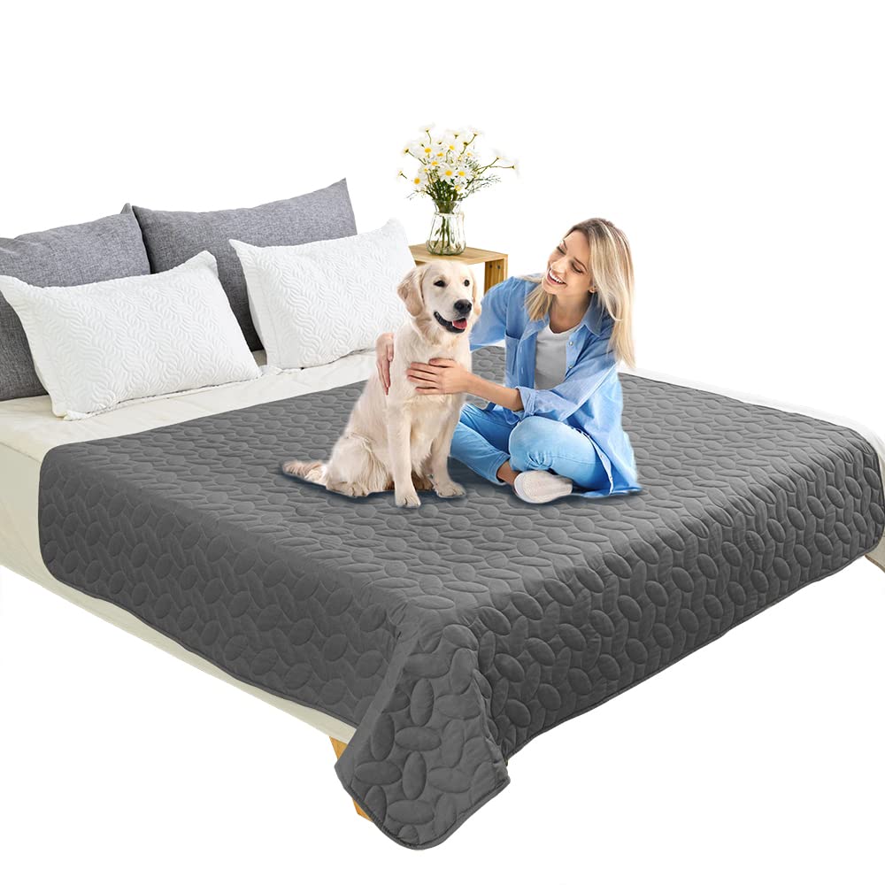 Ameritex bed cover with pets on sofa demonstrating compatibility