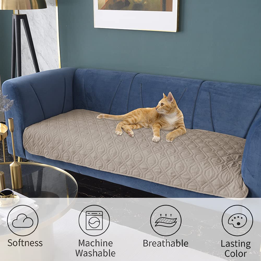 Ameritex pet-friendly living room shot demonstrating clean furniture