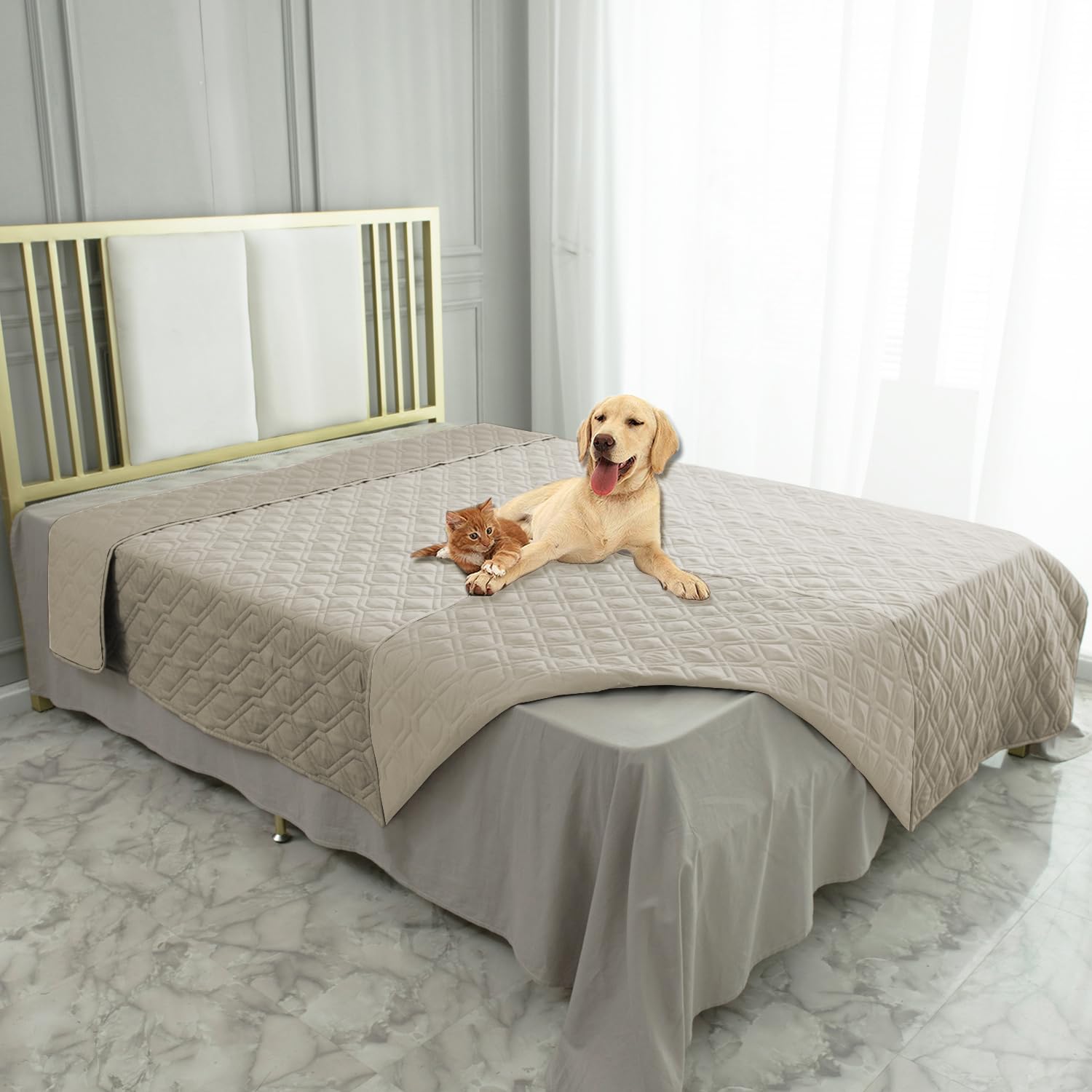 Ameritex pet-friendly protection preventing spills and pet messes.