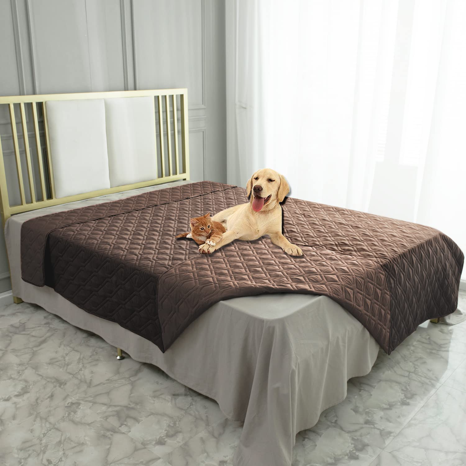 Ameritex waterproof blanket on a sofa protects furniture from pet paws and spills.