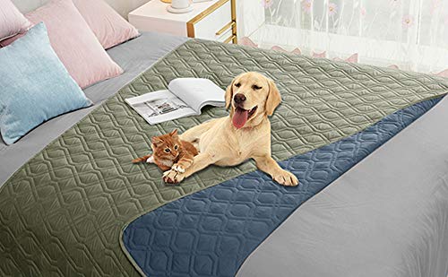 Ameritex waterproof dog bed cover on sofa protects furniture from spills