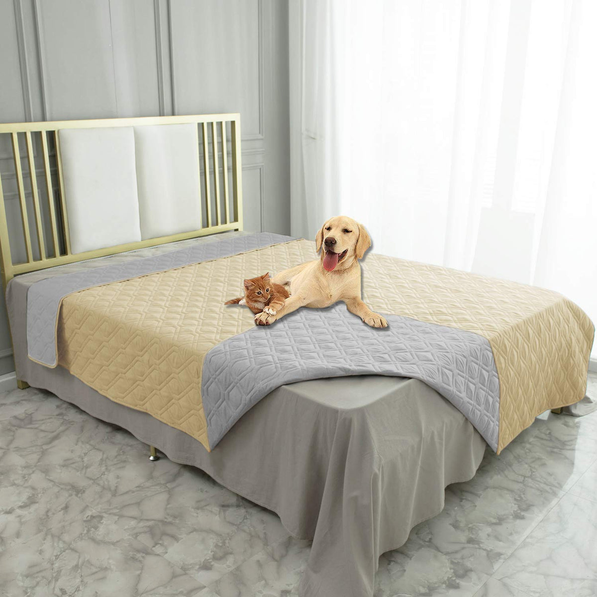 Ameritex waterproof dog bed cover on a sofa protecting upholstery from spills.