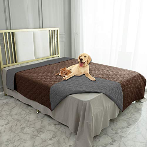 Ameritex waterproof dog bed cover on sofa protects furniture from spills