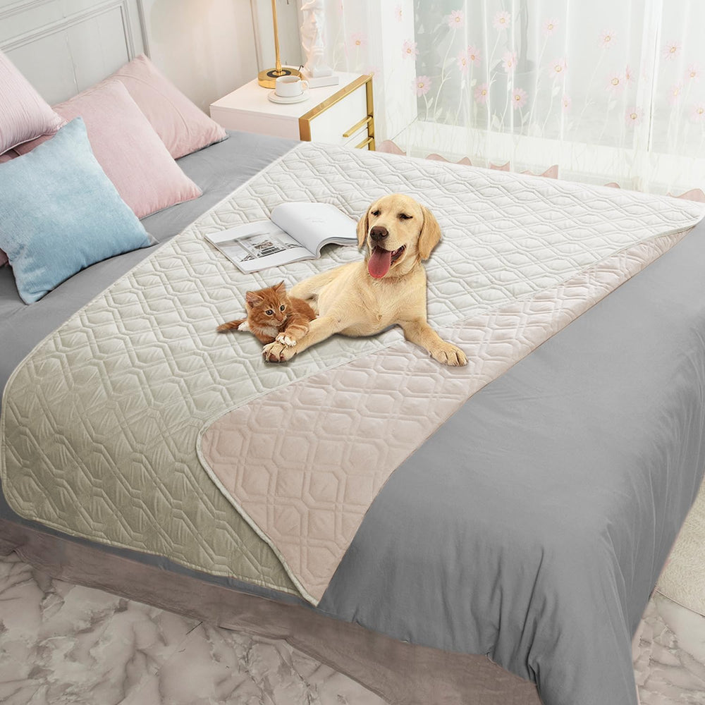 Ameritex waterproof dog bed cover on sofa protects furniture from spills and accidents