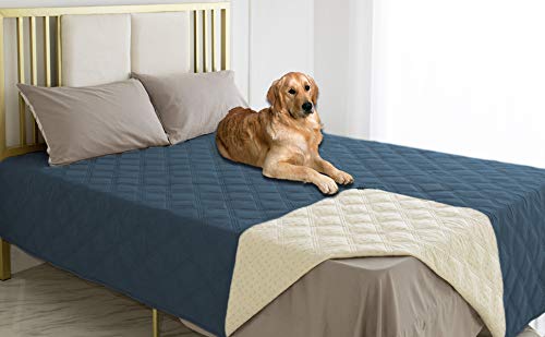 Ameritex waterproof dog cover on couch helps protect fabrics from messes