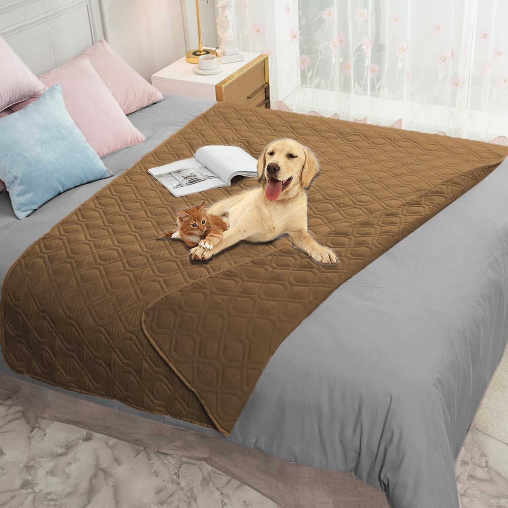 Ameritex waterproof furniture cover on sofa protects against spills and pet accidents.