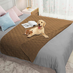 Ameritex waterproof furniture cover on sofa protects against spills and pet accidents.