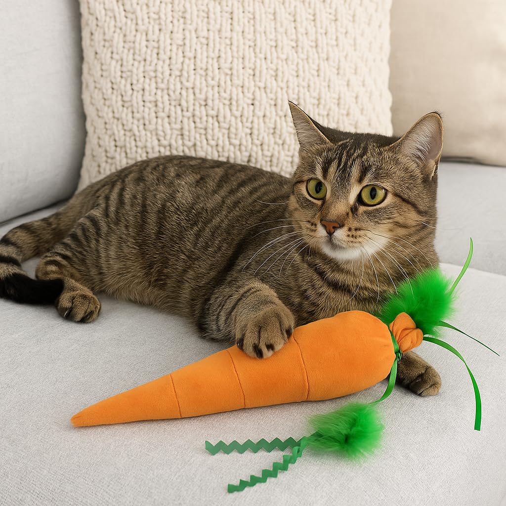 Amerizy Kolossal Karrot orange indoor-play moment captures cats enjoying independent sessions.