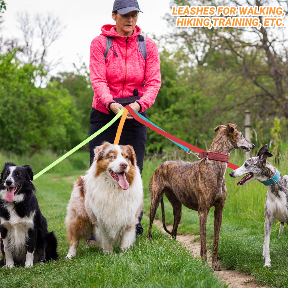 AMFOSNEL color-coded leashes help quick pet tracking outdoors.