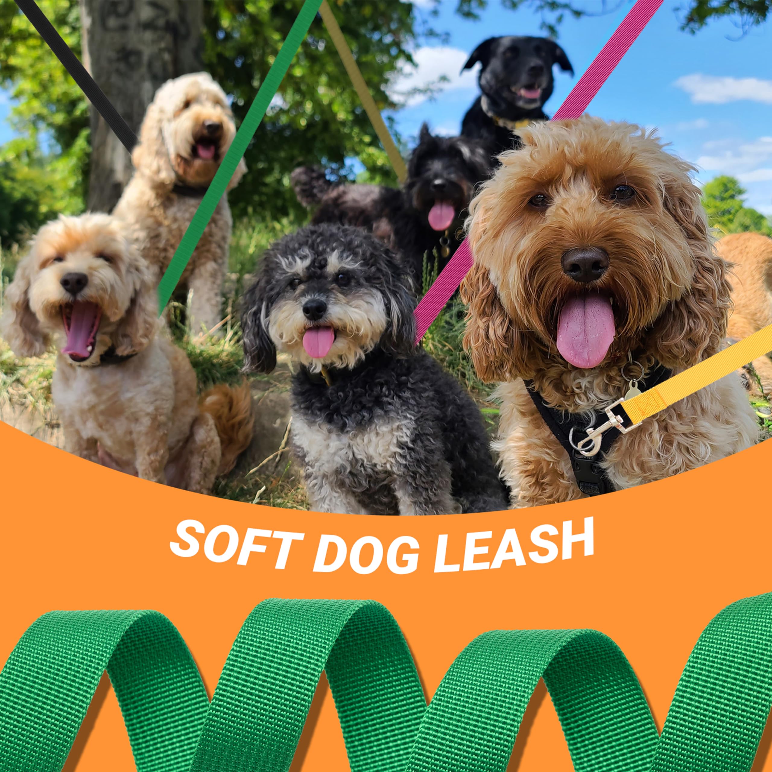 AMFOSNEL leash set ideal for daily walks, training, and grooming sessions.