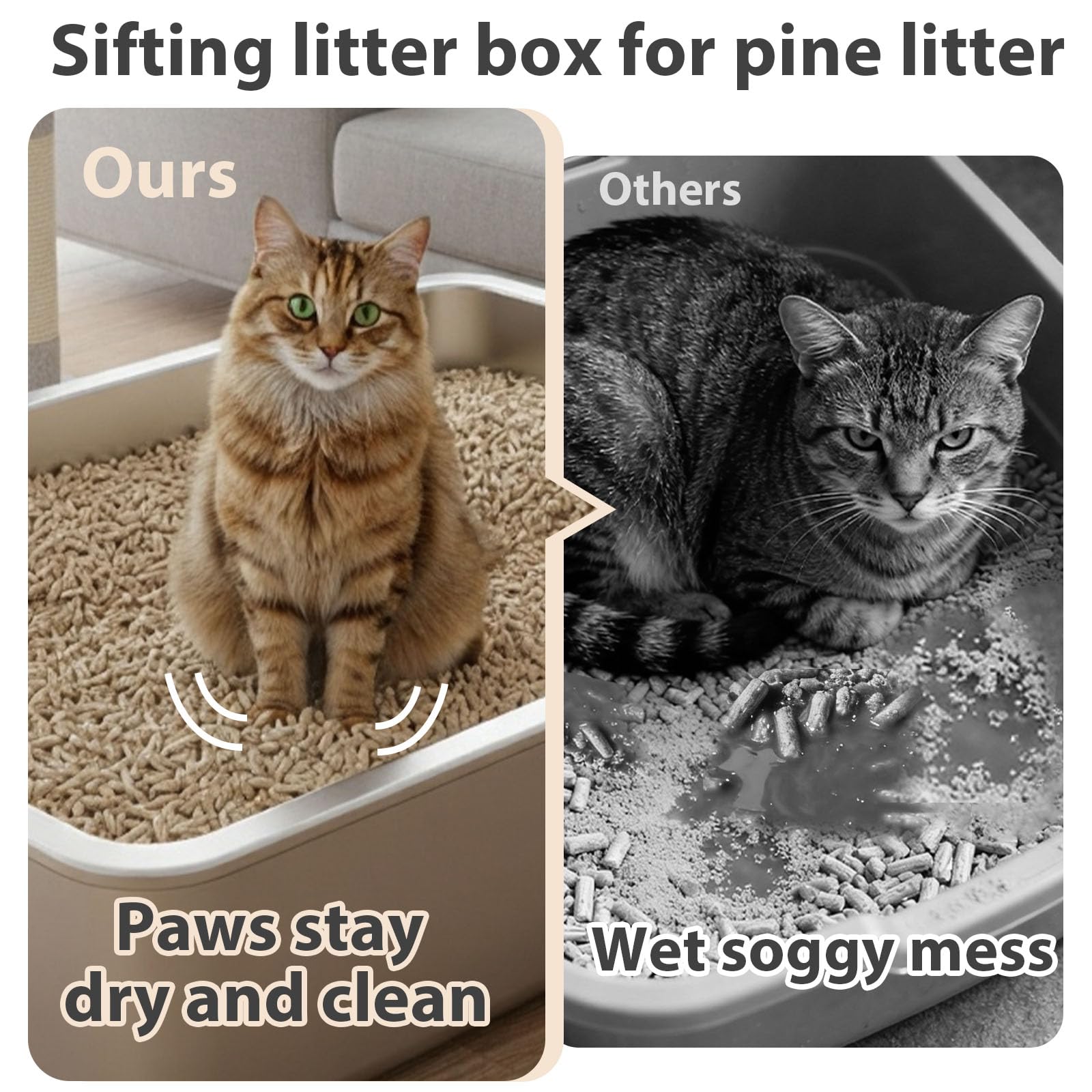 Amibud pine pellet compatible litter box overview for odor reduction
