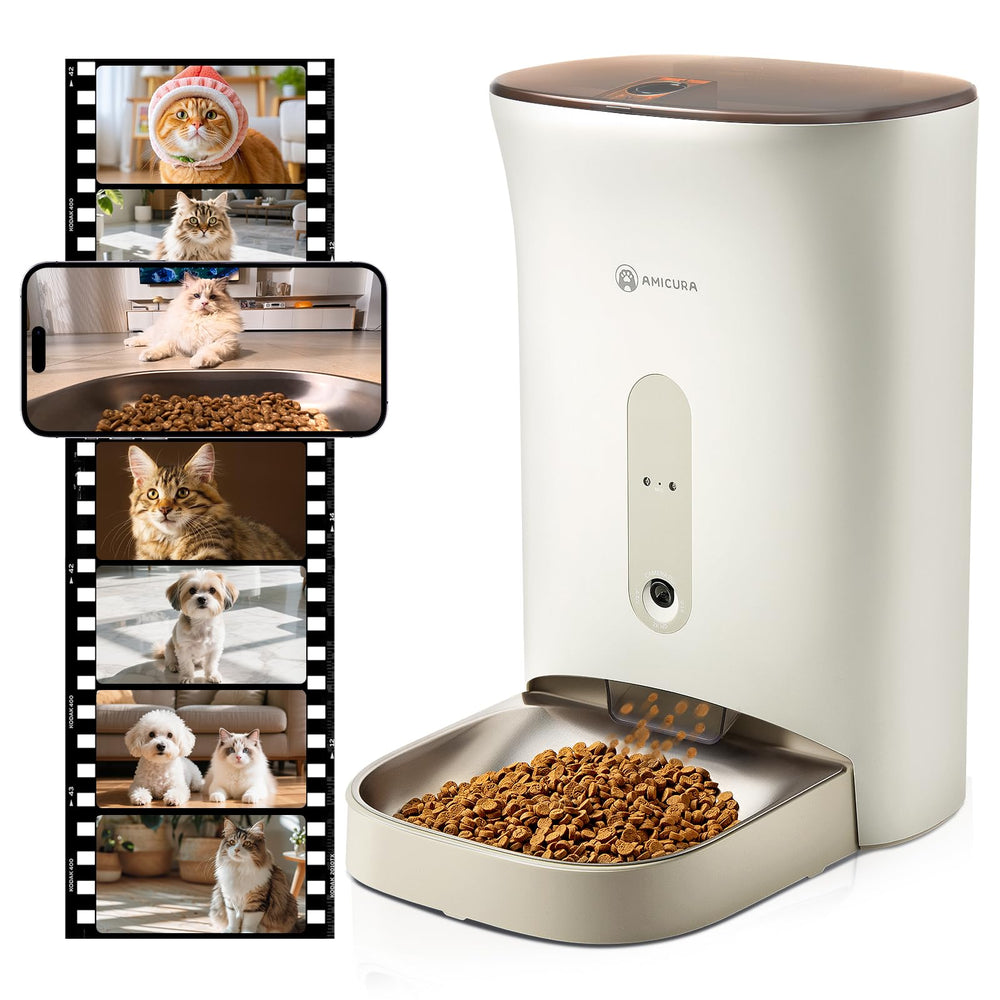 Amicura F1 Pro 2K camera view captures crisp pet footage for meal monitoring.