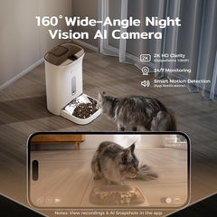 Amicura F1 Pro night vision captures cats in low light for safer observation.