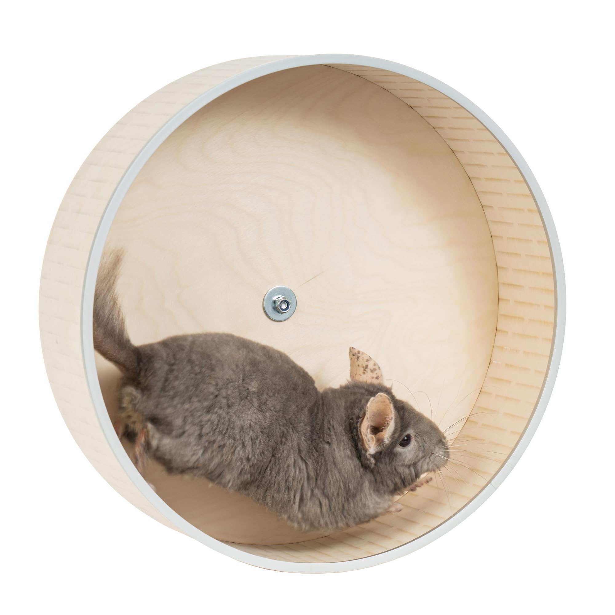 AMIDA Craft 16in silent wheel side view showing spacious run space for chinchilla exercise.